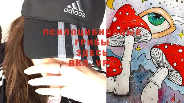 Альфа ПВП Беломорск