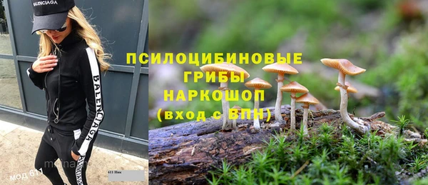 Альфа ПВП Беломорск