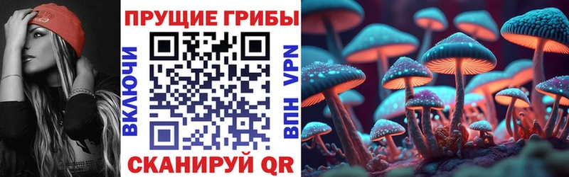 закладки Юрьевец Псилоцибиновые грибы ЛСД